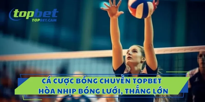Cá Cược Bóng Chuyền Topbet – Hòa Nhịp Bóng Lưới, Thắng Lớn
