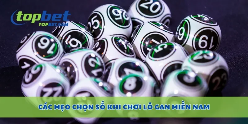 Các mẹo chọn số khi chơi lô gan miền nam