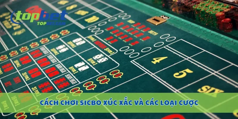 Cách chơi sicbo xúc xắc và các loại cược