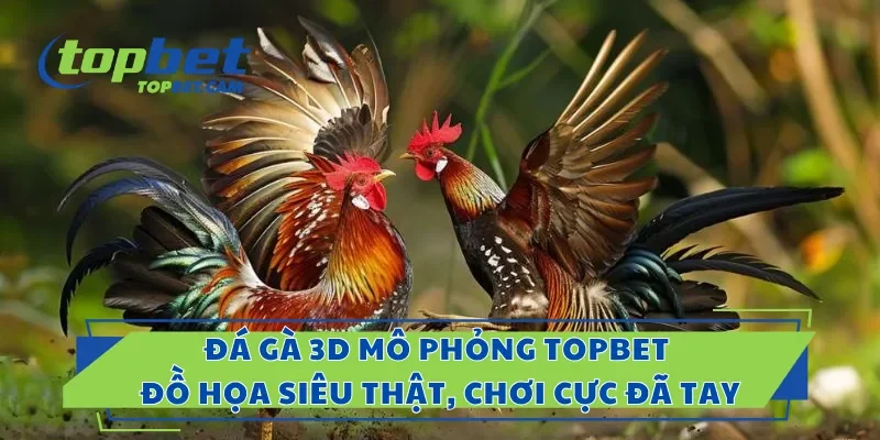 Đá Gà 3D Mô Phỏng Topbet – Đồ Họa Siêu Thật, Chơi Cực Đã Tay