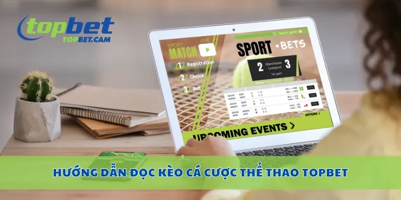 Hướng dẫn đọc kèo cá cược thể thao Topbet