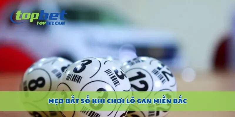 Mẹo bắt số khi chơi lô gan miền bắc