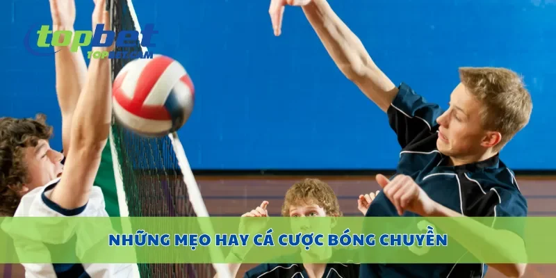 Những mẹo hay cá cược bóng chuyền