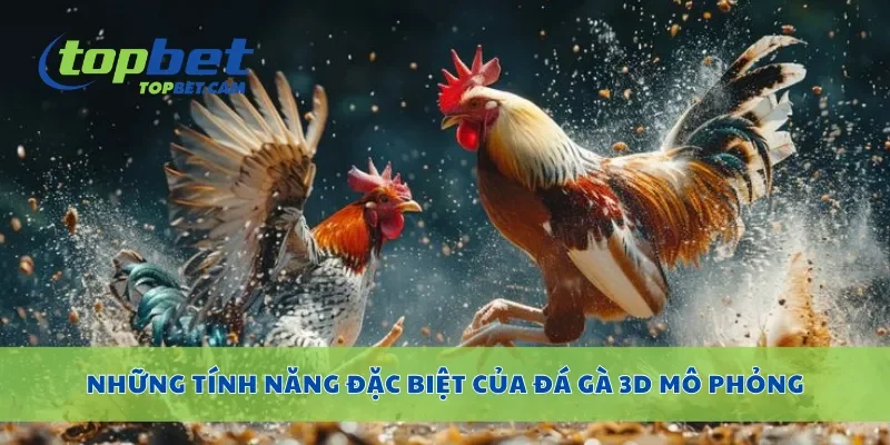 Những tính năng đặc biệt của đá gà 3D mô phỏng