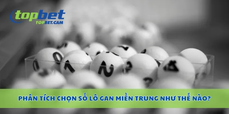 Phân tích chọn số lô gan miền Trung như thế nào?