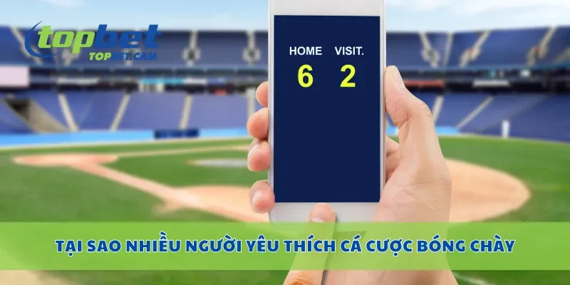 Tại sao nhiều người yêu thích cá cược bóng chày