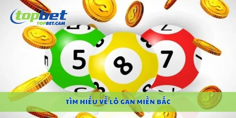 Tìm hiểu về lô gan miền Bắc