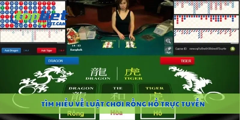Tìm hiểu về luật chơi rồng hổ trực tuyến