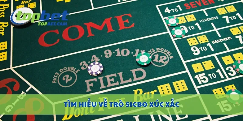 Tìm hiểu về trò sicbo xúc xắc